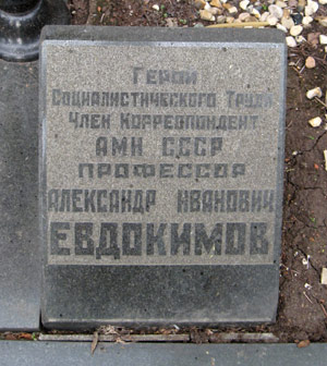 могила А.И. Евдокимова, фото Двамала, 2008 г.