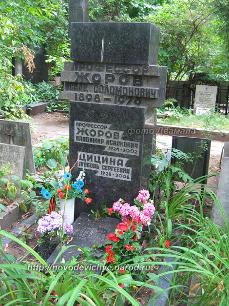 могила В.И. Жорова и его близких, фото Двамала,  2010 г.