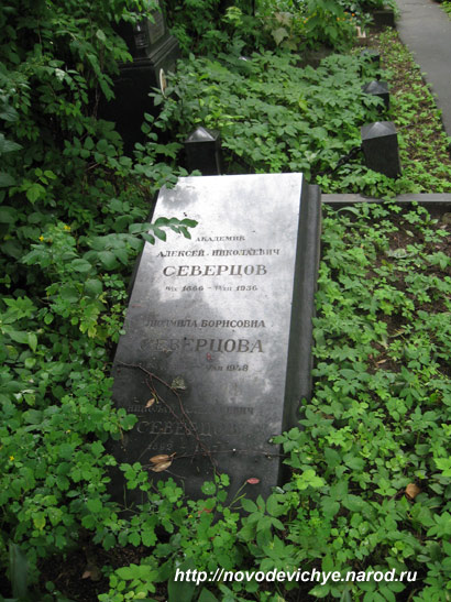могила А.Н. Северцова, фото Двамала, 2008 г.