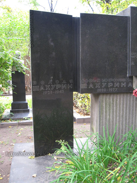 памятник на могиле Володи Шахурина, фото Двамала, 13.9.2007 г.