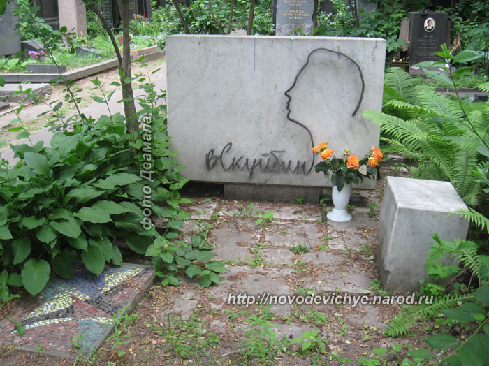 могила В.Н. Скуйбина, фото Двамала, 2011 г.
